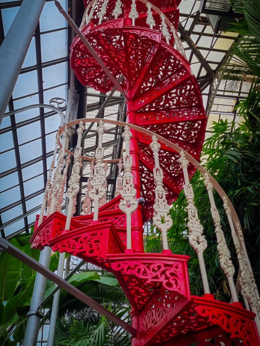 johnny-briggs-MOG2xX17cEo-unsplash