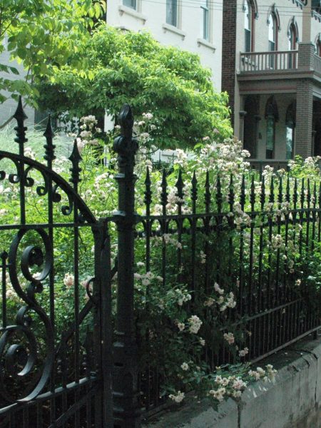 mau-hang-rao-sat-my-thuat (24)