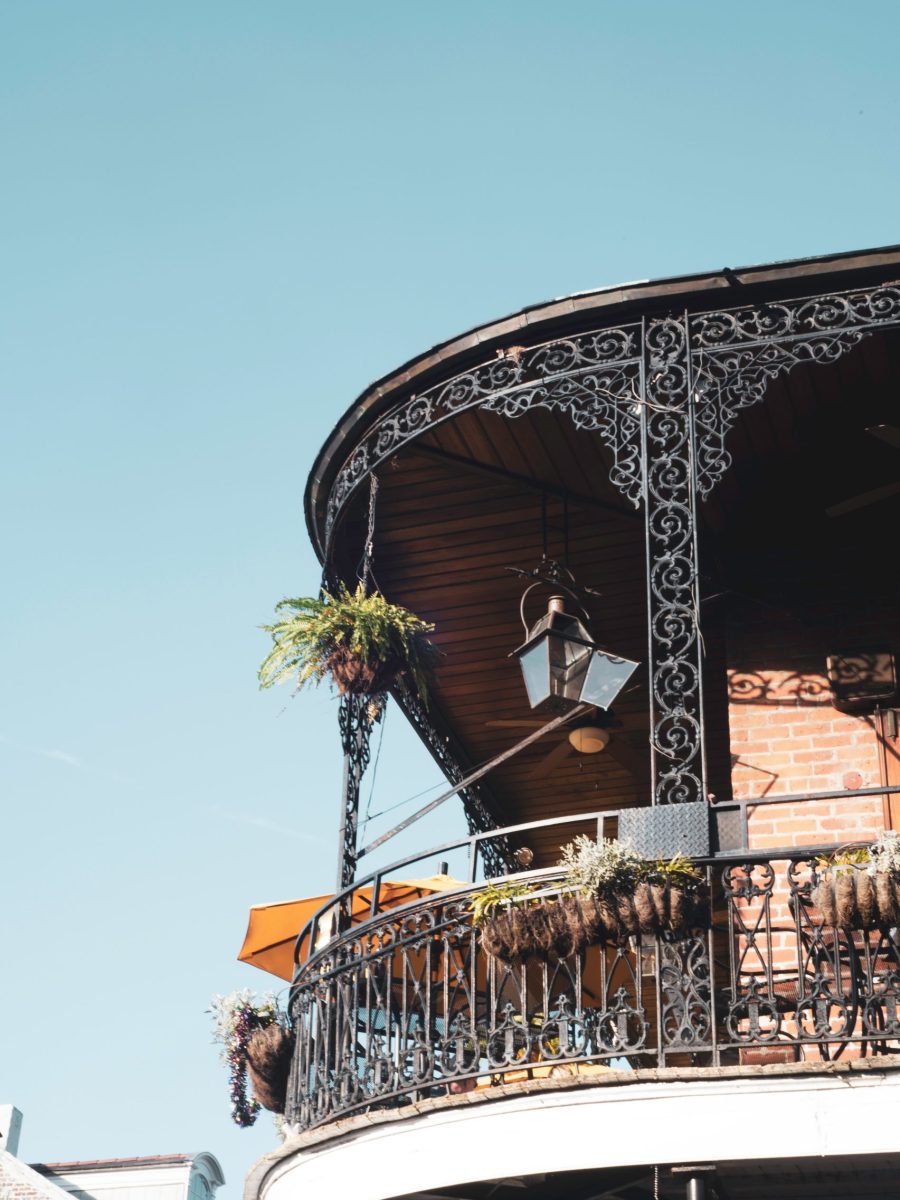 sunny-morgan-gPCJm_bCbQs-unsplash